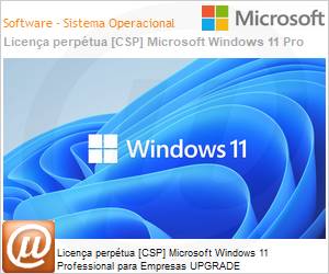DG7GMGF0D8H4 - Licena perptua [NCE] Microsoft Windows 11 Professional para Empresas UPGRADE 