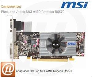 R6570-MD2GD3/LP - Adaptador Grfico MSI AMD Radeon R6570