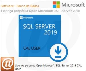 359-06866 - Licena perptua Open Microsoft SQL Server 2019 CAL User SQLCAL SNGL OLP NL UsrCAL 