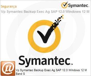 13572656 - Vp Symantec Backup Exec Ag SAP 12.0 Windows 12 M Band S 