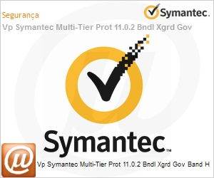 13909906 - Vp Symantec Multi-Tier Prot 11.0.2 Bndl Xgrd Gov Band H 