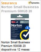 Norton Small Business Premium 500GB 20 dispositivos 12 meses  (Figura somente ilustrativa, no representa o produto real)