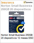 Norton Small Business 250GB 20 dispositivos 12 meses ESD (Figura somente ilustrativa, no representa o produto real)