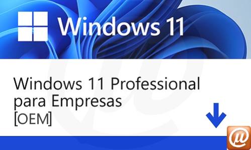 Windows para empresas