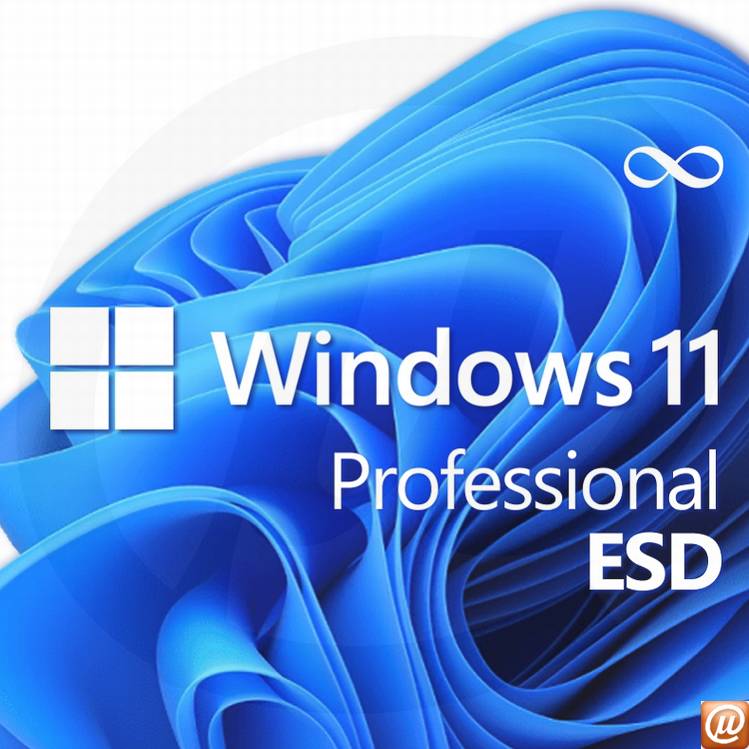 Windows 10 Pro 32/64 Bits ESD FQC-09131 - Digital para Download